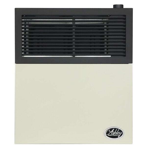 Ashley Hearth Products 11,000 BTU Direct Vent Natural Gas Wall Heater DVAG11N - main